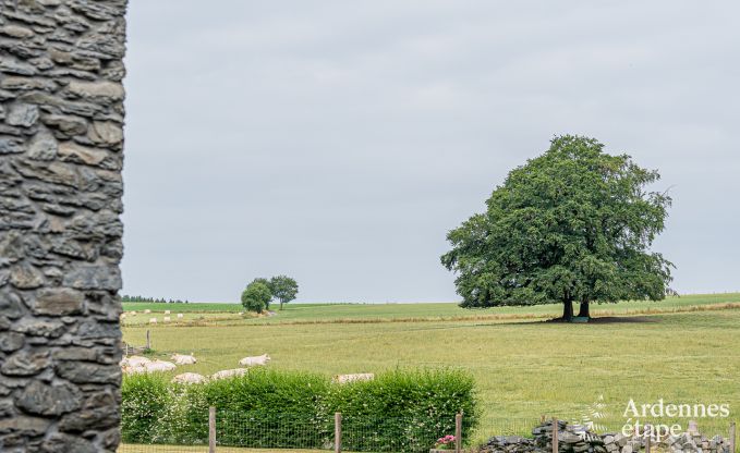 Holiday cottage in Bastogne for 8 persons in the Ardennes