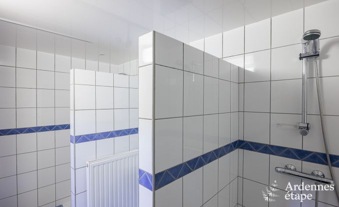 Large holiday home in Bastogne for 14 people with wellness and relaxation area