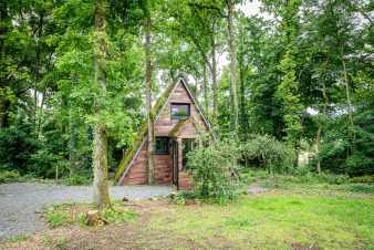 Pleasant and  beautifully decorated chalet in Beauraing