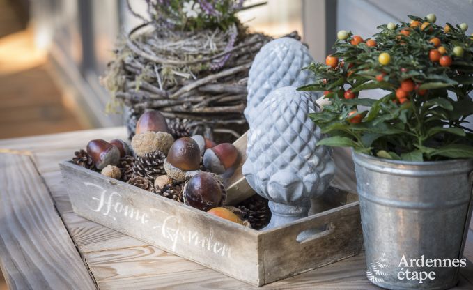 Chalet in Beauraing for 4 persons in the Ardennes