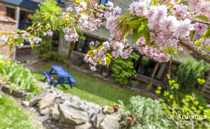 Holiday cottage in Beauraing for 20/24 persons in the Ardennes