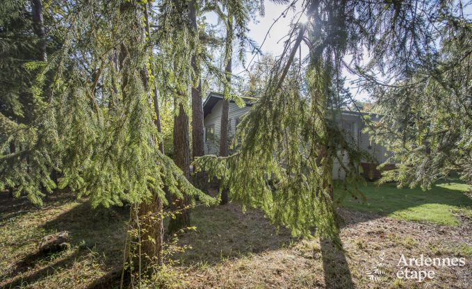 Chalet in Beauraing for 4 persons in the Ardennes