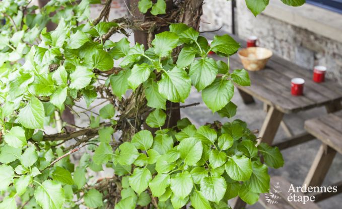 Holiday cottage in Beauraing for 20/24 persons in the Ardennes