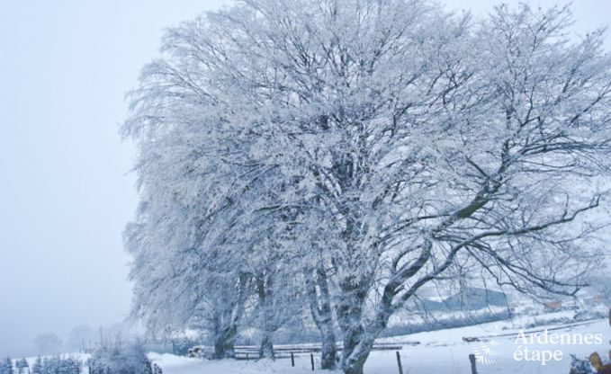 Holiday cottage in Bertrix (Jehonville) for 7 persons in the Ardennes