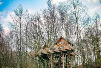 Treehouse for 4/6 people in the Ardennes (Bertrix)