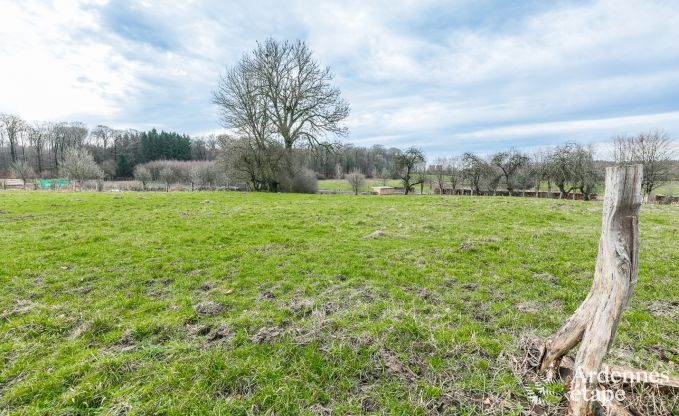 Luxurious and dog-friendly holiday home in Bertrix, Ardennes