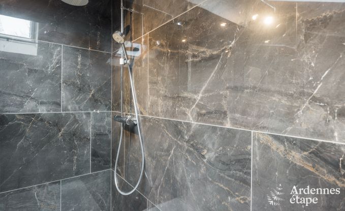 Luxurious and dog-friendly holiday home in Bertrix, Ardennes