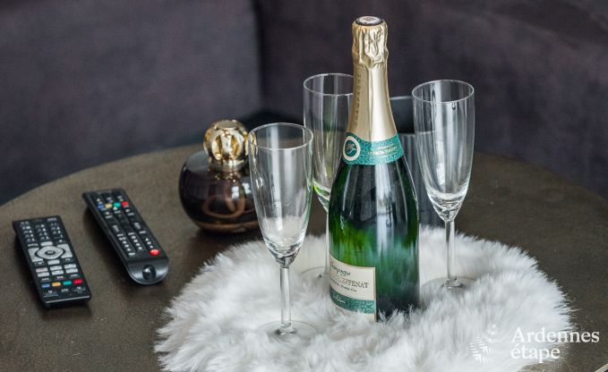 Luxurious and dog-friendly holiday home in Bertrix, Ardennes