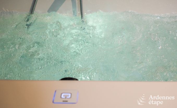 Luxurious and dog-friendly holiday home in Bertrix, Ardennes
