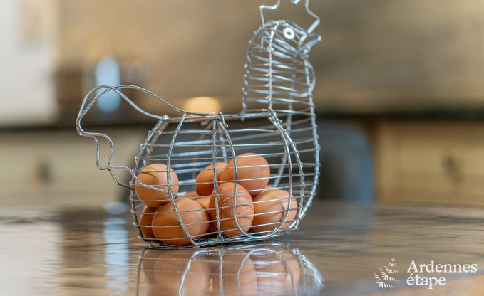 Holiday cottage in Bertrix for 9 persons in the Ardennes