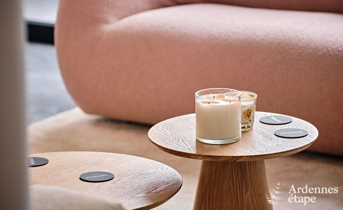 Spacious luxury villa in Bertrix for 16 people with heated outdoor pool and private terrace by the water