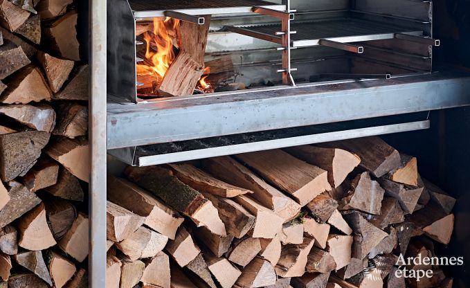 Spacious luxury villa in Bertrix for 16 people with heated outdoor pool and private terrace by the water