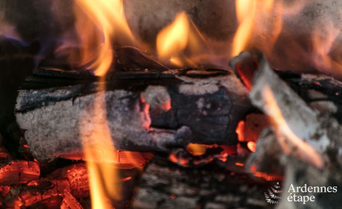 Holiday cottage in Bivre for 12 persons in the Ardennes