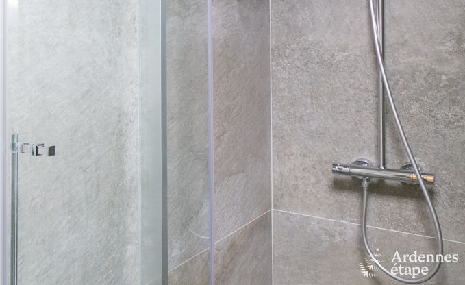 Holiday cottage in Bivre for 12 persons in the Ardennes