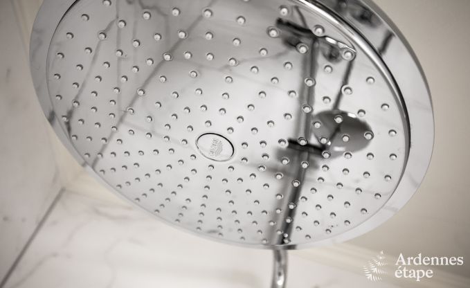 Holiday cottage in Bivre for 12 persons in the Ardennes