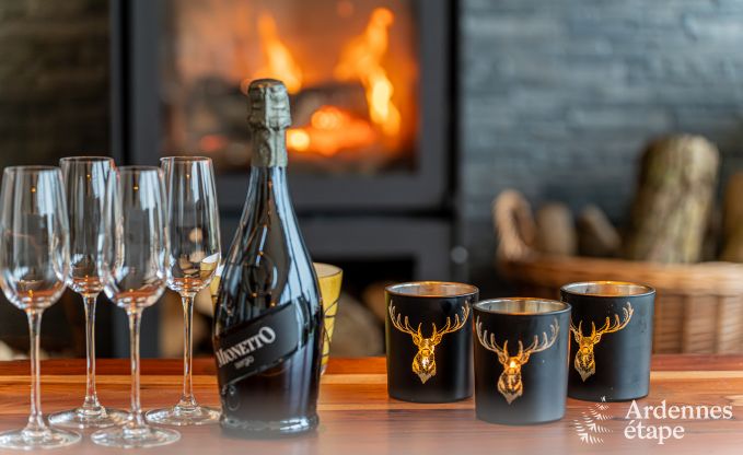 Holiday home in Bivre: pet-friendly comfort for 12 people with sauna in the Ardennes