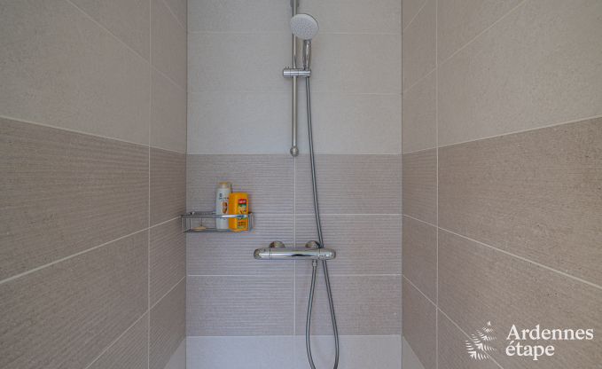 Holiday home in Bivre: pet-friendly comfort for 12 people with sauna in the Ardennes