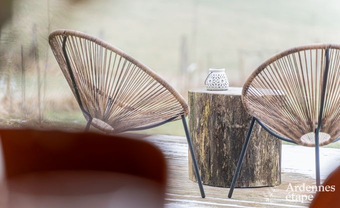 Holiday home in Bivre: pet-friendly comfort for 12 people with sauna in the Ardennes