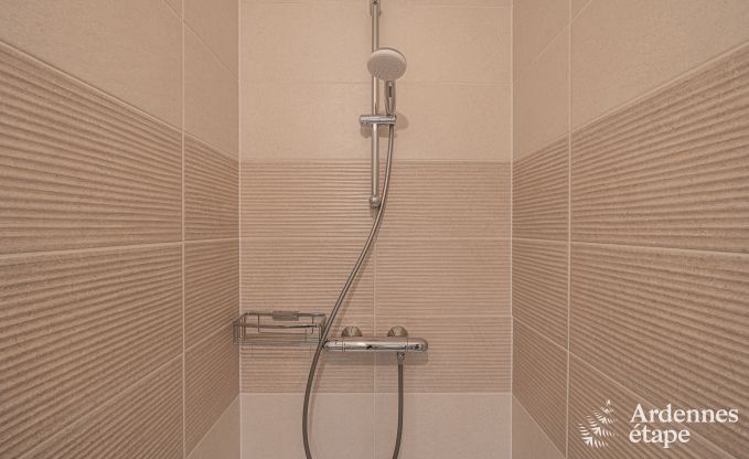 Holiday home in Bivre: pet-friendly comfort for 12 people with sauna in the Ardennes