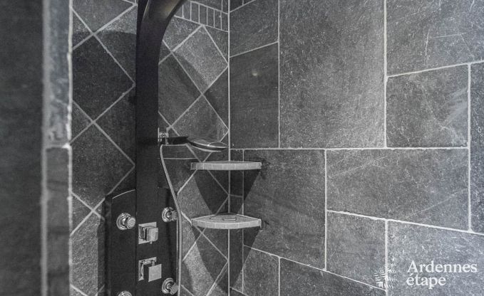 Luxury villa in Bivre for 9 persons in the Ardennes