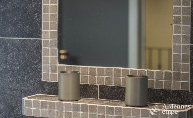 Luxury villa in Bivre for 9 persons in the Ardennes