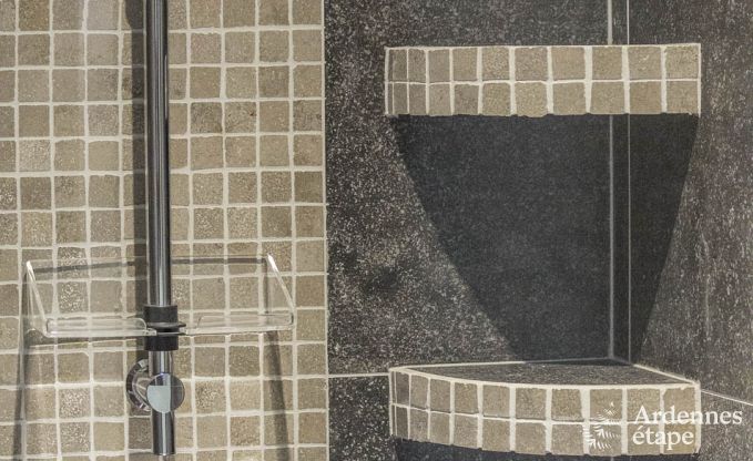 Luxury villa in Bivre for 9 persons in the Ardennes