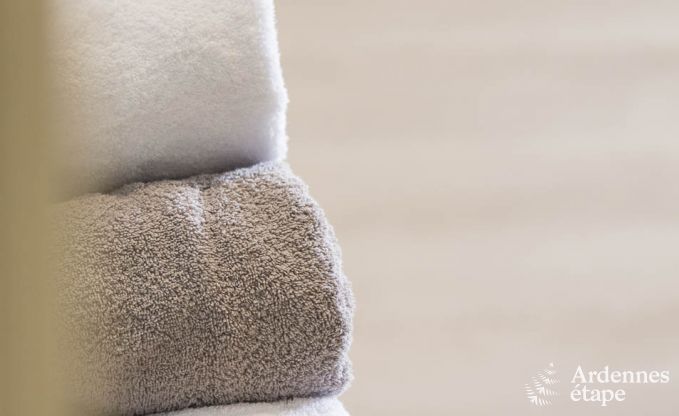 Escape to the Ardennes: Spacious and equipped holiday home for 8 people in Bouillon