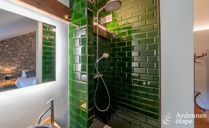 Luxury villa in Bouillon for 15 persons in the Ardennes