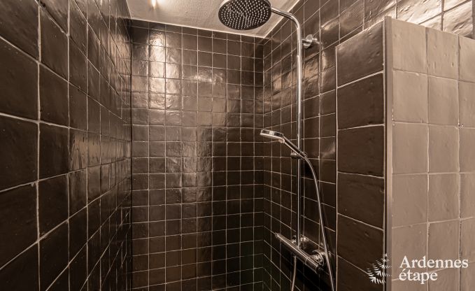 Luxury villa in Bouillon for 15 persons in the Ardennes