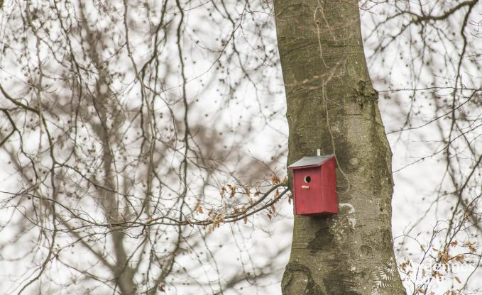 Holiday cottage in Bullingen for 12/14 persons in the Ardennes