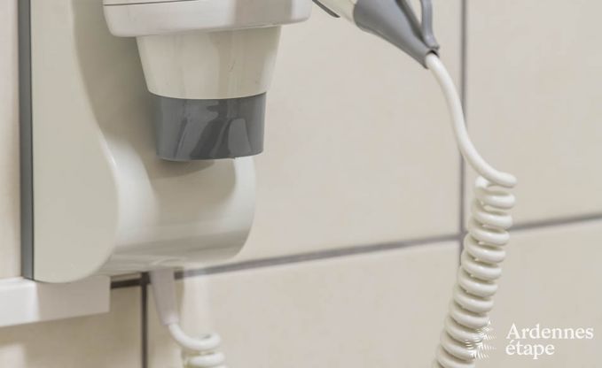 Holiday cottage in Burg-Reuland for 8 persons in the Ardennes