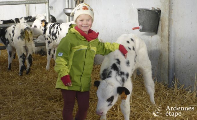 Holiday cottage in Burg-Reuland for 8 persons in the Ardennes