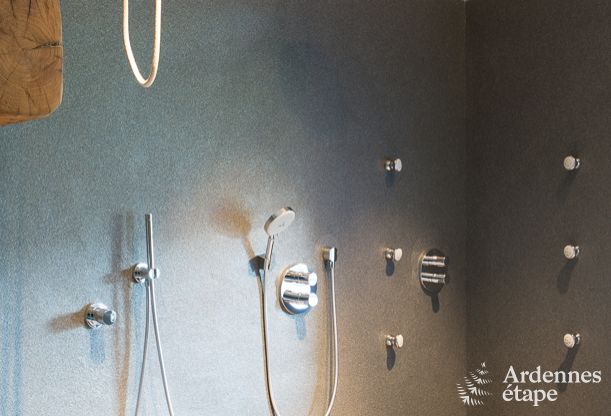 Luxury villa in Butgenbach (Heppenbach) for 24 persons in the Ardennes