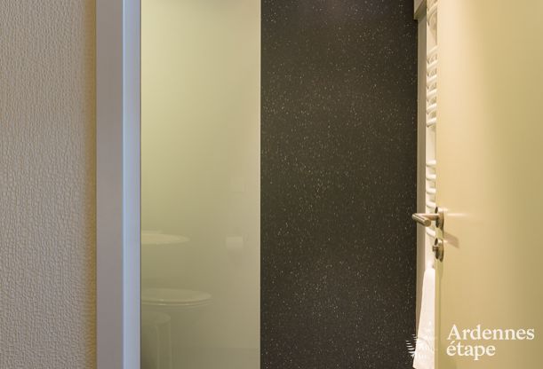 Luxury villa in Butgenbach (Heppenbach) for 24 persons in the Ardennes