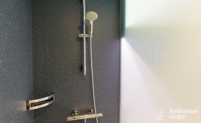 Luxury villa in Butgenbach (Heppenbach) for 24 persons in the Ardennes