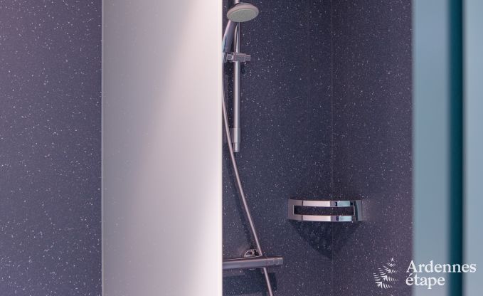 Luxury villa in Butgenbach (Heppenbach) for 24 persons in the Ardennes