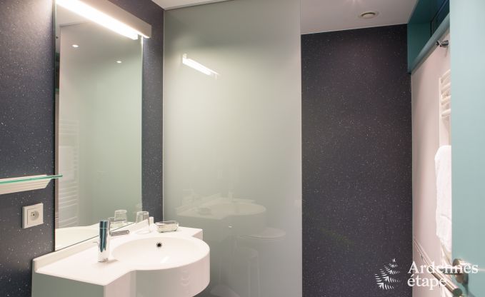 Luxury villa in Butgenbach (Heppenbach) for 24 persons in the Ardennes