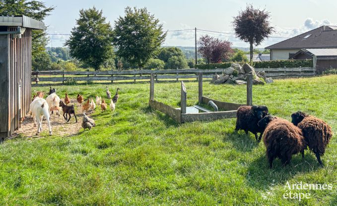 Modern apartment for 6 people in Butgenbach with 3 bedrooms and shared garden