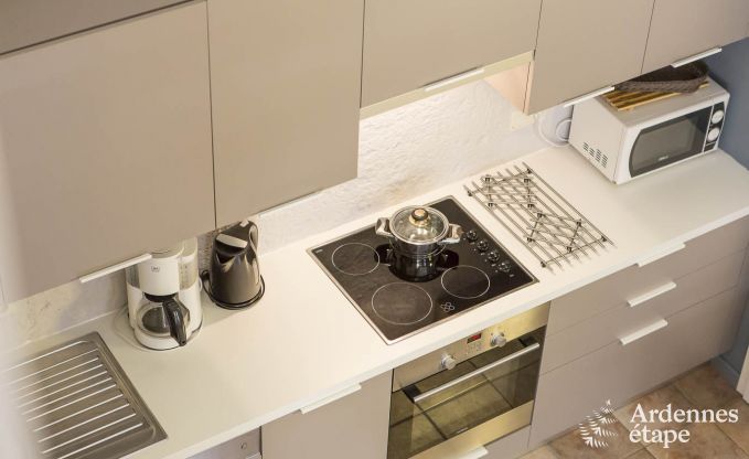 Modern apartment for 6 people in Butgenbach with 3 bedrooms and shared garden