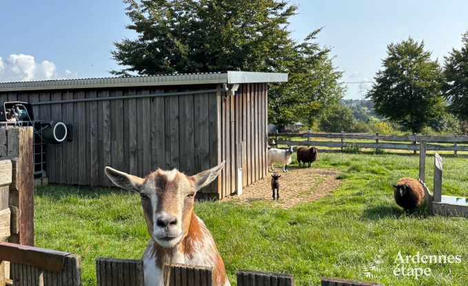 Modern apartment for 6 people in Butgenbach with 3 bedrooms and shared garden