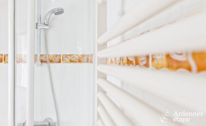 Luxury villa in Btgenbach for 26 persons in the Ardennes