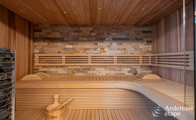 Spacious and luxurious villa for 14 people with indoor pool in the High Fens