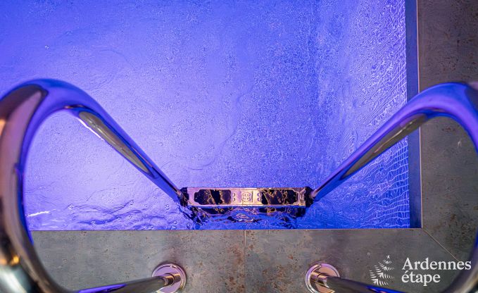 Spacious and luxurious villa for 14 people with indoor pool in the High Fens