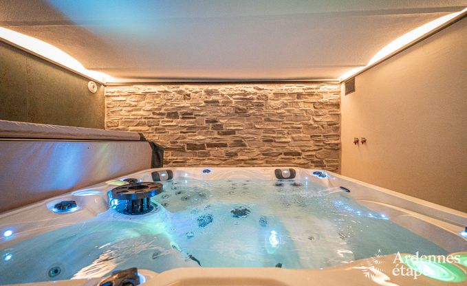 Spacious and luxurious villa for 14 people with indoor pool in the High Fens