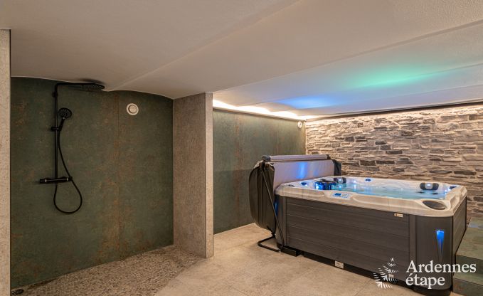 Spacious and luxurious villa for 14 people with indoor pool in the High Fens