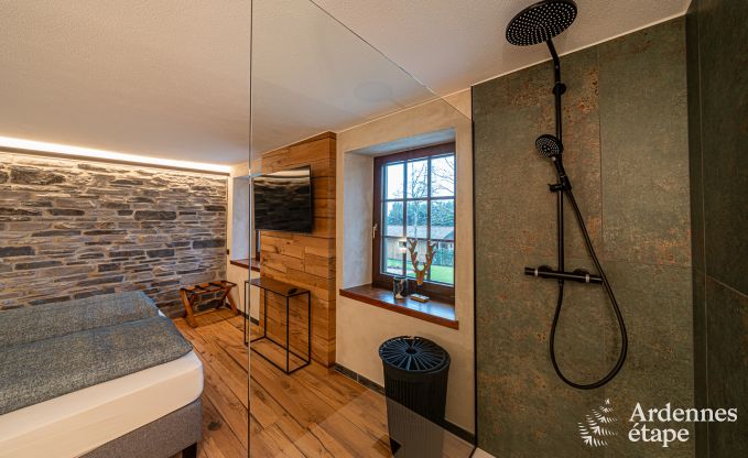 Spacious and luxurious villa for 14 people with indoor pool in the High Fens