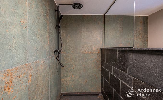 Spacious and luxurious villa for 14 people with indoor pool in the High Fens