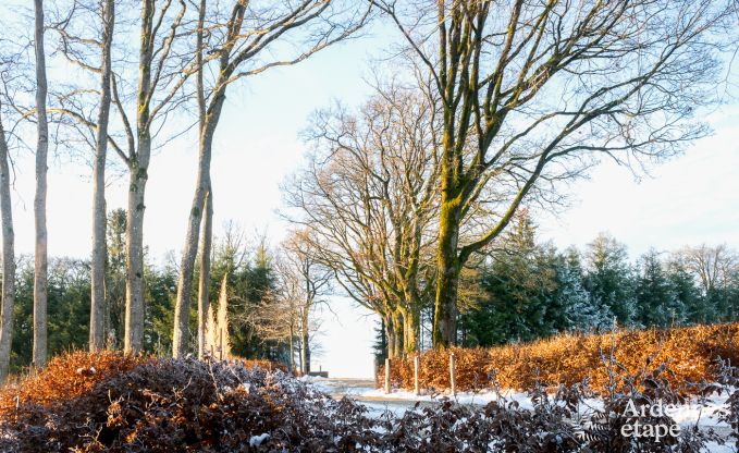 Luxury villa in Butgenbach for 28 persons in the Ardennes