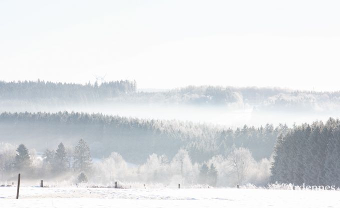 Luxury villa in Butgenbach for 28 persons in the Ardennes