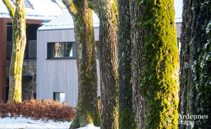 Luxury villa in Butgenbach for 28 persons in the Ardennes